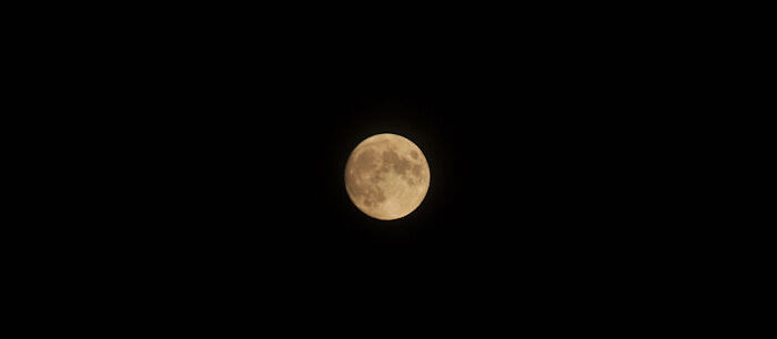Bark at the moon ;-)